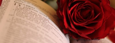 复婚算离婚是什么情况