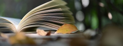 婚内财产约定书有用吗