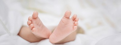 意定监护协议怎么写