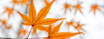 老人再婚离婚财产如何分割