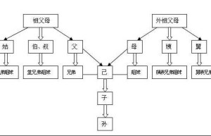 三代以内旁系血亲的范围有哪些？